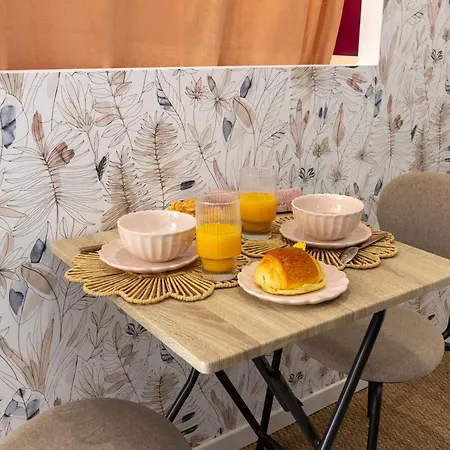Siloe - Balneo - Stationnement Gratuit Dans La Rue- Gare 10 Min A Pied Troyes